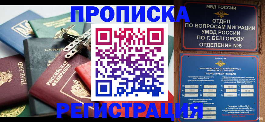 временная регистрация недорого в Кандалакше